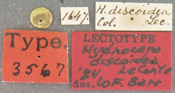 Media type: image;   Entomology 3567 Aspect: labels